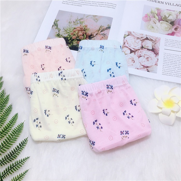 FREESHIP KÈM QUÀ Combo 5 Quần lót đẹp thun cotton mịn kháng khuẩn sợi tre bigsize size đại  nhiều màu sắc