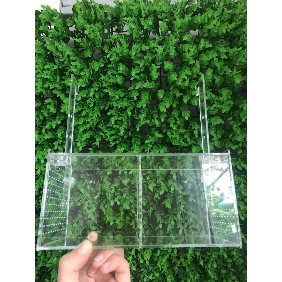 Lồng dưỡng tép 2 ngăn, 1 ngăn cao cấp đục lổ 3 mặt,