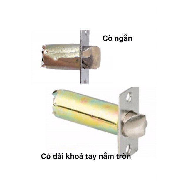 Ổ KHOÁ TAY NẮM TRÒN ZANI INOX