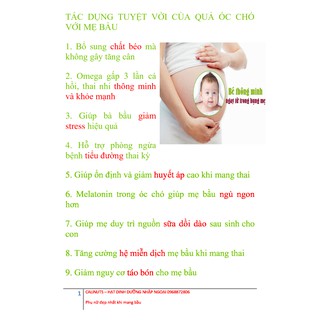 NHÂN QUẢ ÓC CHÓ MỸ