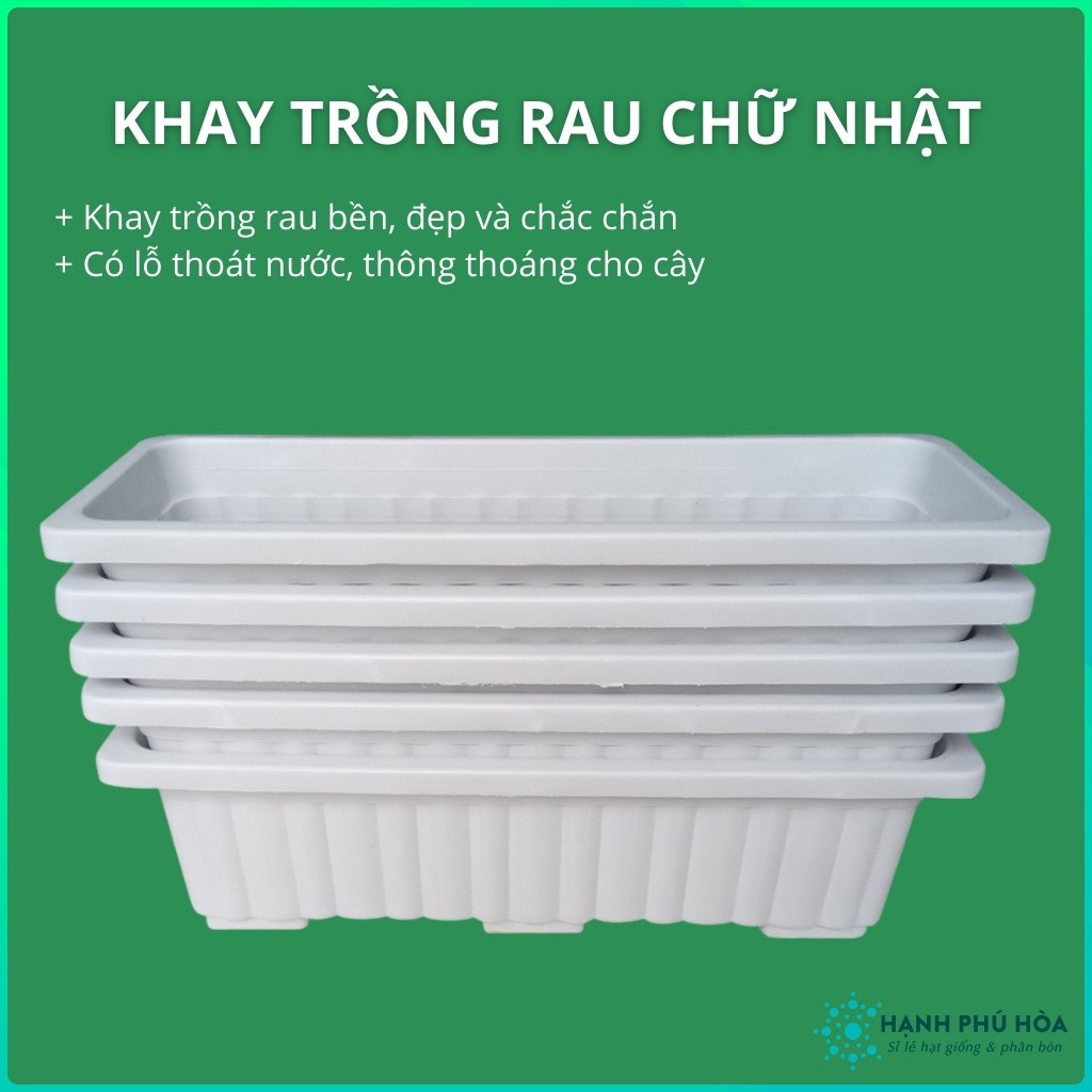 Khay Nhựa Trắng Chữ Nhật - Trồng Rau Mầm, Rau Xà Lách, Rau Gia Vị - Nhẹ, Bền, Đa Năng, Có Lỗ Thoát Nước