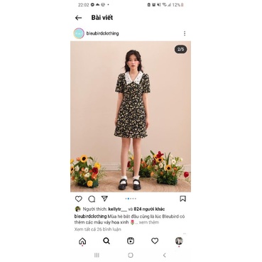 đầm bleubird size xs