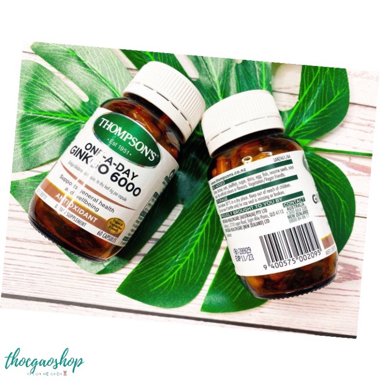 Viên uống bổ não Thompson Ginkgo Biloba 6000mg Úc lọ 60 viên