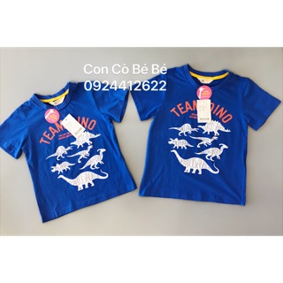 Áo phông HM bé trai