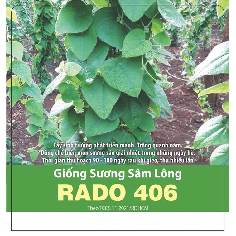 Hạt giống Sương Sâm Lông 406