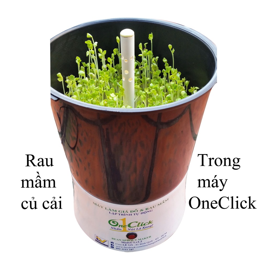 Máy làm giá đỗ và rau mầm OneClick