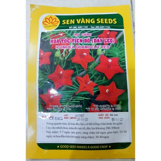 HẠT GIỐNG HOA TÓC TIÊN ĐỎ (DÂY LEO) bịch 0.5 gr