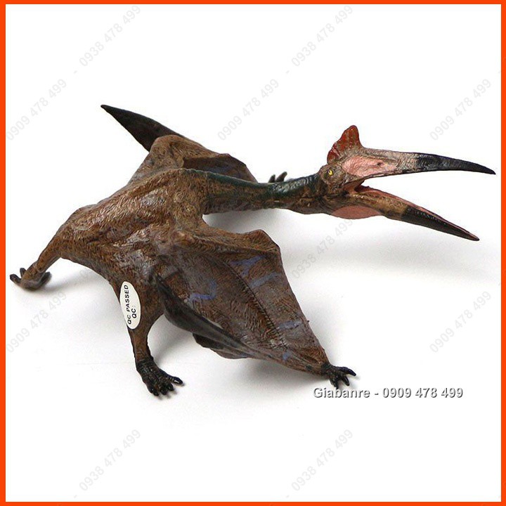 Mô Hình Khủng Long Thằn Lằn Bay Khổng Lồ