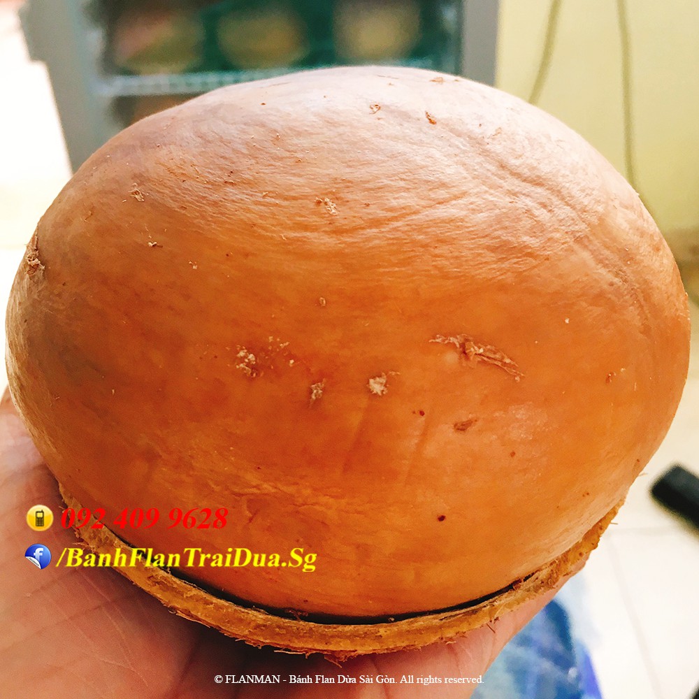 "Đặc sản Sài Gòn" - Bánh Flan Rau Câu Trái Dừa