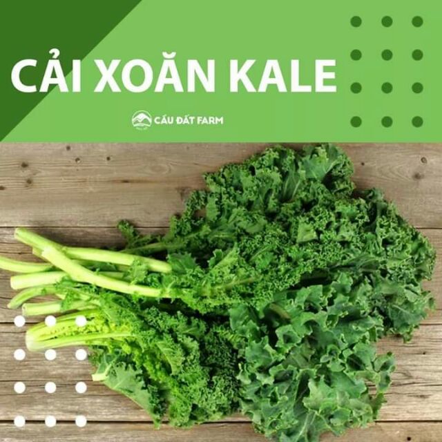 Cải xoăn KALE