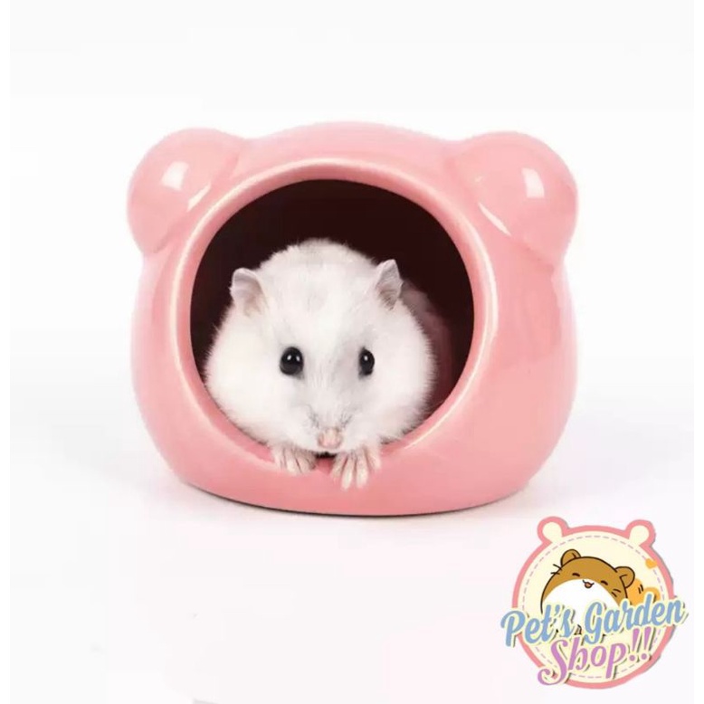 Nhà sứ Mickey cho hamster