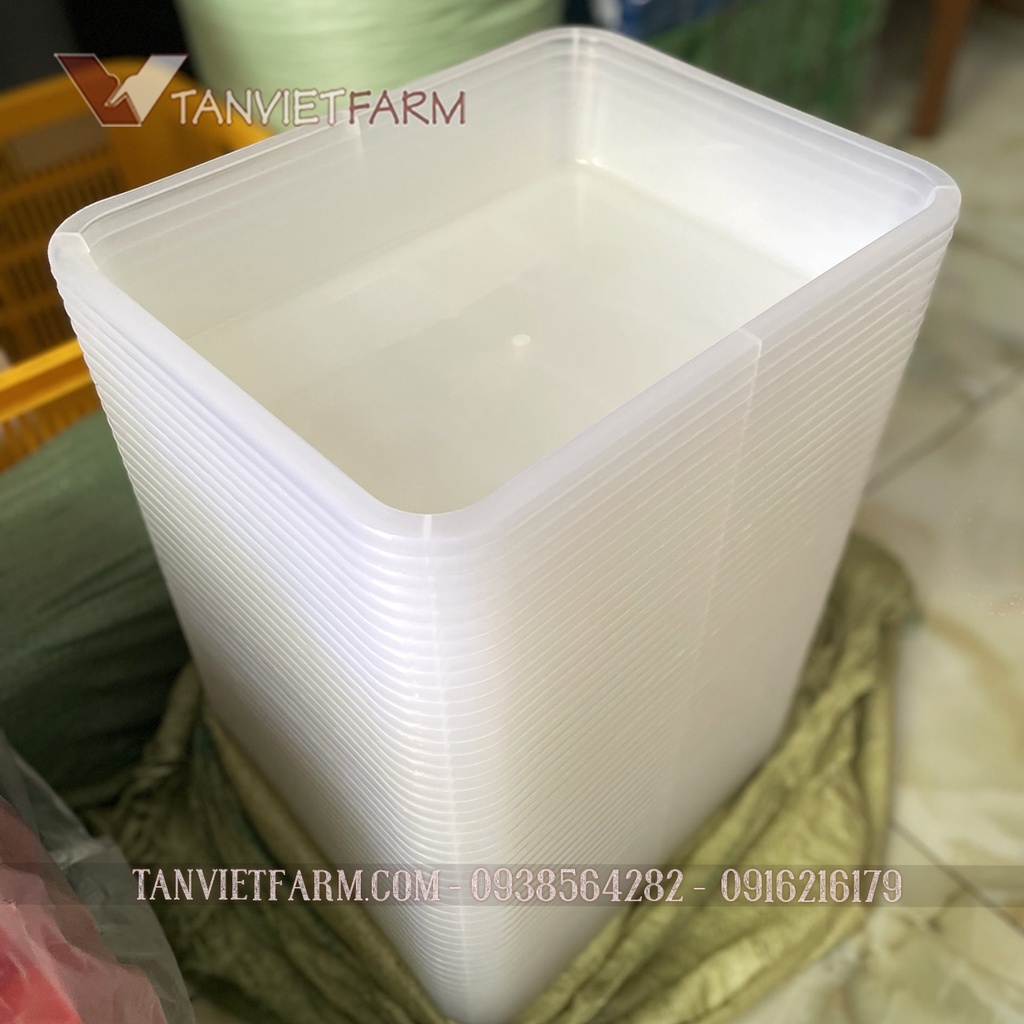 Khay/ Máng chữ nhật đa năng đựng thực phẩm, giấy văn phòng | Thau tắm cho Vẹt, Bồ câu, Chim cảnh nhựa PP trắng trong