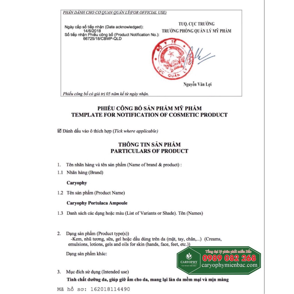 Kem Dưỡng Trắng Da 3 in 1 GLASS SKIN  Caryophy❤️FREESHIP❤️Dưỡng Trắng Body Nâng tông tự nhiên dành cho Mọi loại Da | BigBuy360 - bigbuy360.vn