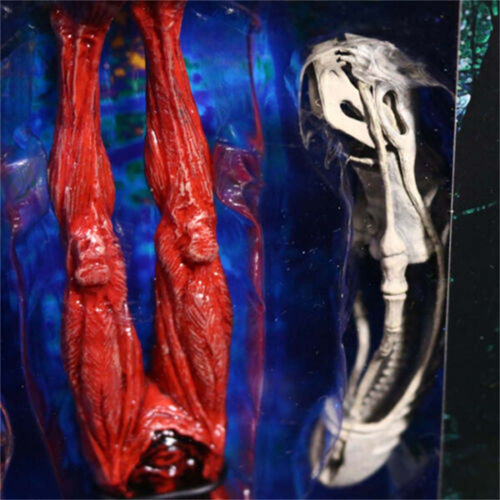 NECA Mô Hình Nhân Vật Người Ngoài Hành Tinh Kích Thước 7 Inch