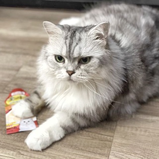 😺 Pate Ciao Inaba Cho Mèo - [1 Gói] 30G