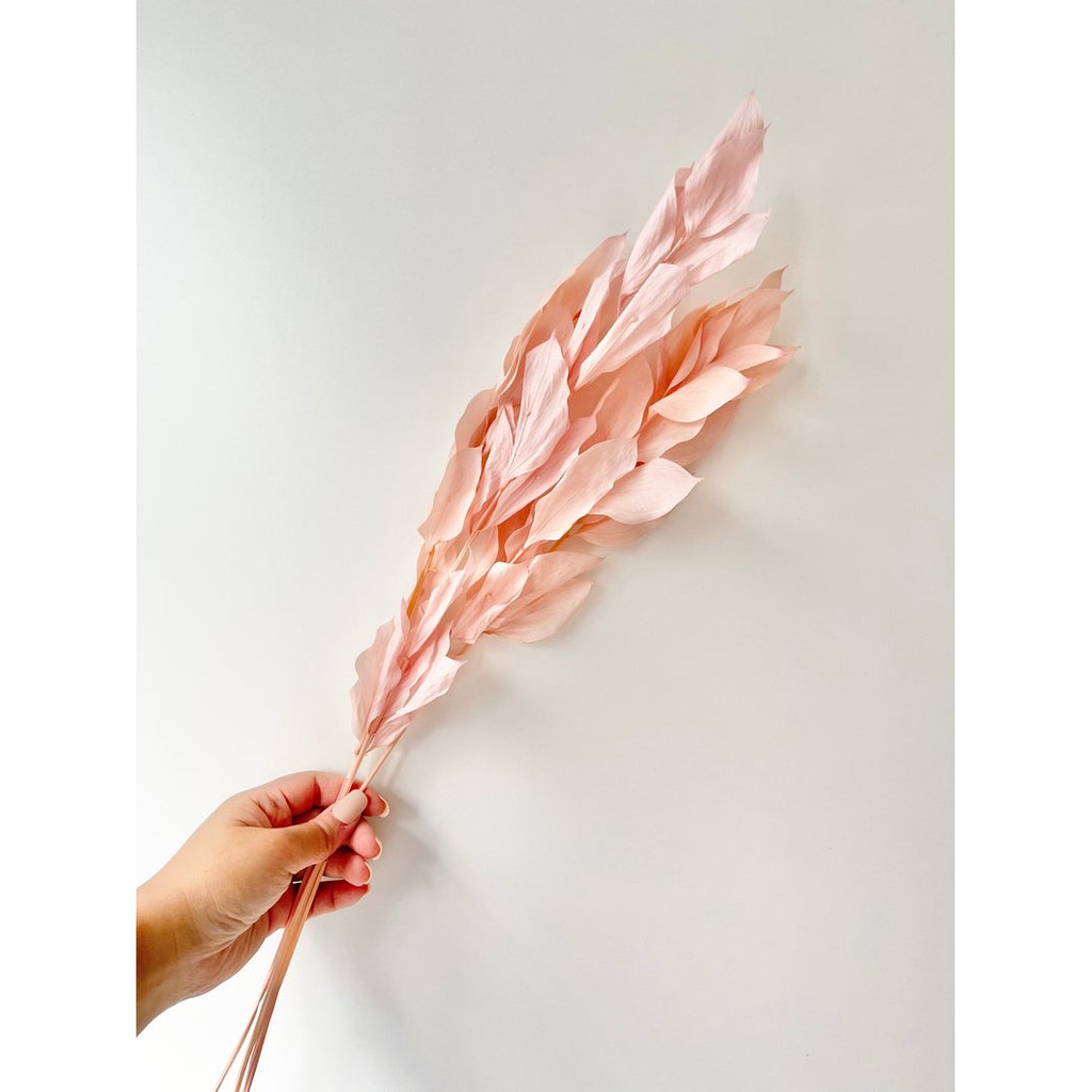Lá khô trang trí - Lá Tiên Nữ hồng phấn decor siêu xinh