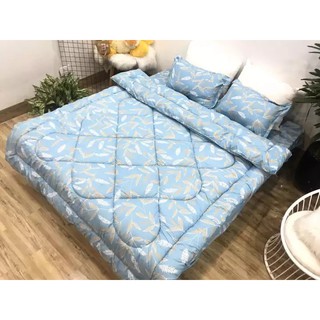 CHĂN PHAO TRẦN BÔNG ẤM ( Chát để gửi mẫu lấy hoặc xem thêm mẫu )