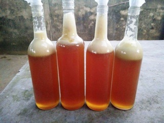 Combo 2,5lit mật ong giá 200k