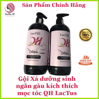 Dầu gội xả dưỡng sinh phục hồi dưỡng sâu QH Lactus 800ml chính hãng.Dầu gội kích thích mọc tóc giảm gãy rụng.BaohangC