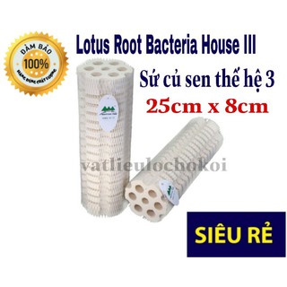 Sứ củ sen hế hệ 3, 25cm x80cm ROOT BECTERIA HOUSE III MOUNTAIN