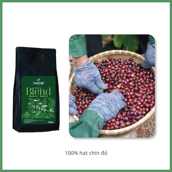 Cà phê Special Blend 500g (Nguyên hạt/ Xay bột), phối trộn tỉ lệ hoàn hảo giữa Arabica và Robusta