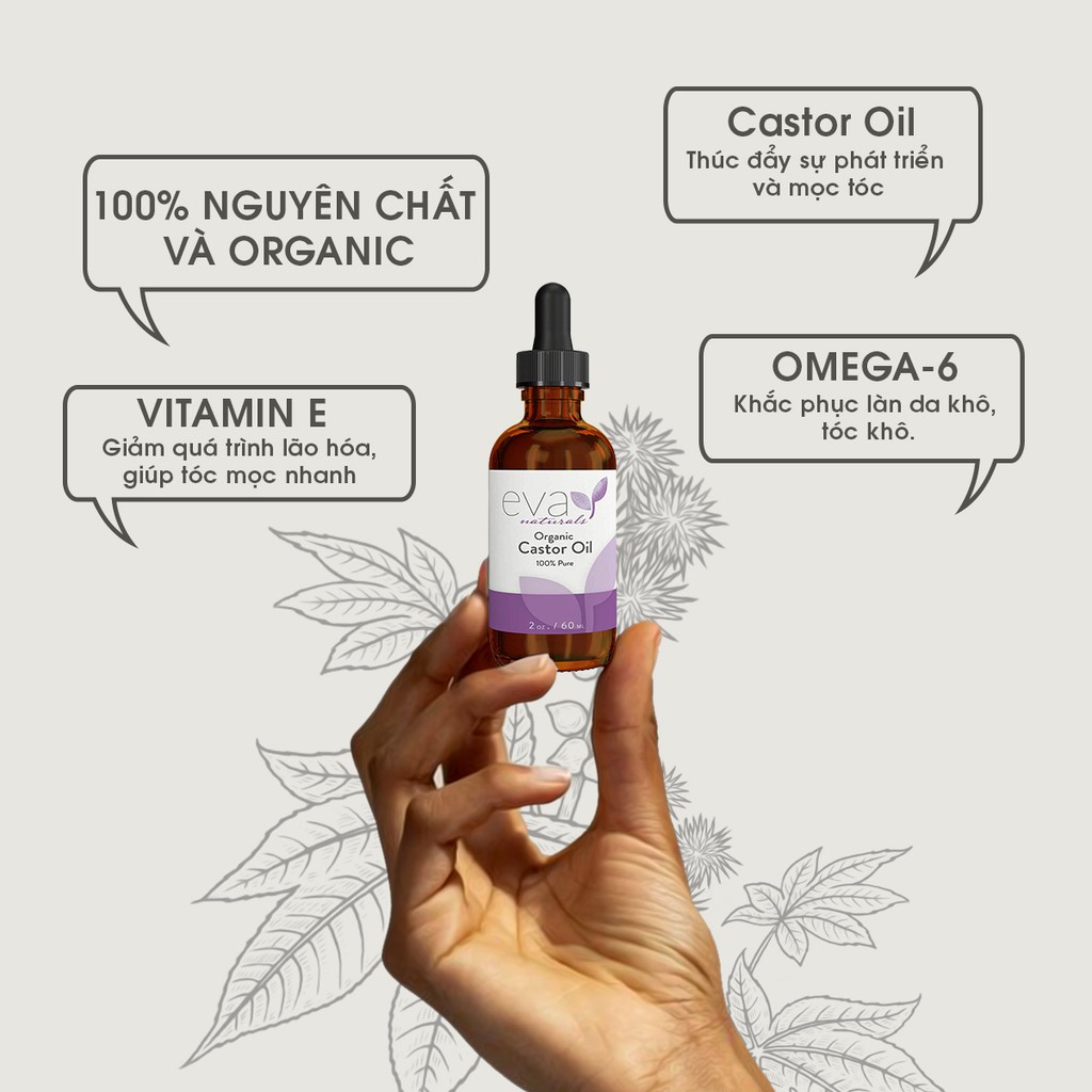 Tinh Dầu Dưỡng Tóc Eva Naturals Organic Castor Oil 60ml | BigBuy360 - bigbuy360.vn