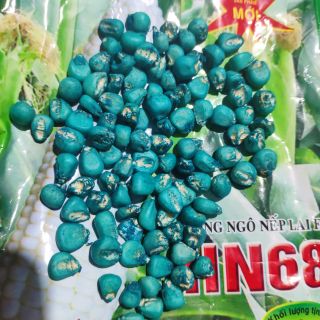Hạt giống NGÔ NẾP LAI HN68 ( bán lẻ 3k 40hạt)