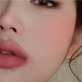 Son môi shiseido 505