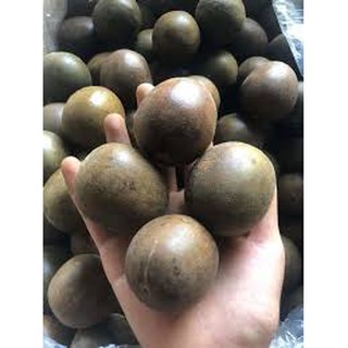 hạt giống la hán quả