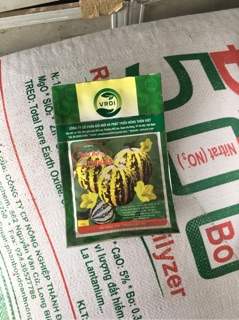 Hạt giống dưa bở