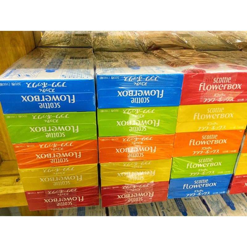 Khăn giấy Scottie Flowerbox (set 5 hộp)