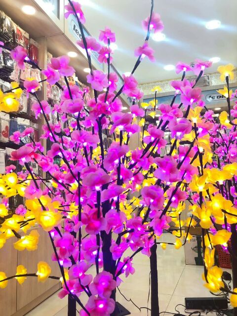 Cây  đào,  mai trang trí tết # cây đào  đèn led