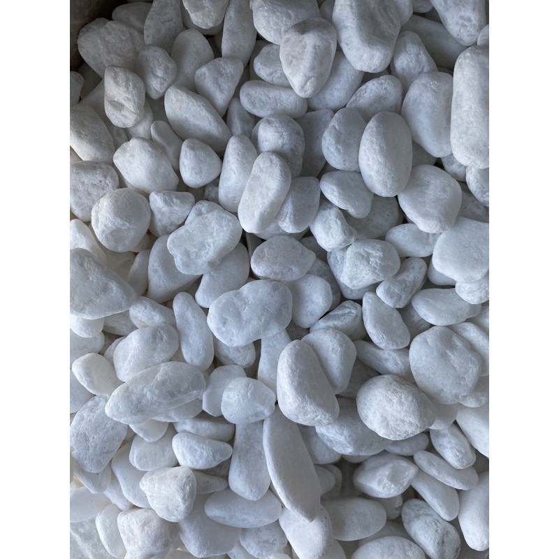 500gr Sỏi trắng rải chậu trang trí đủ size