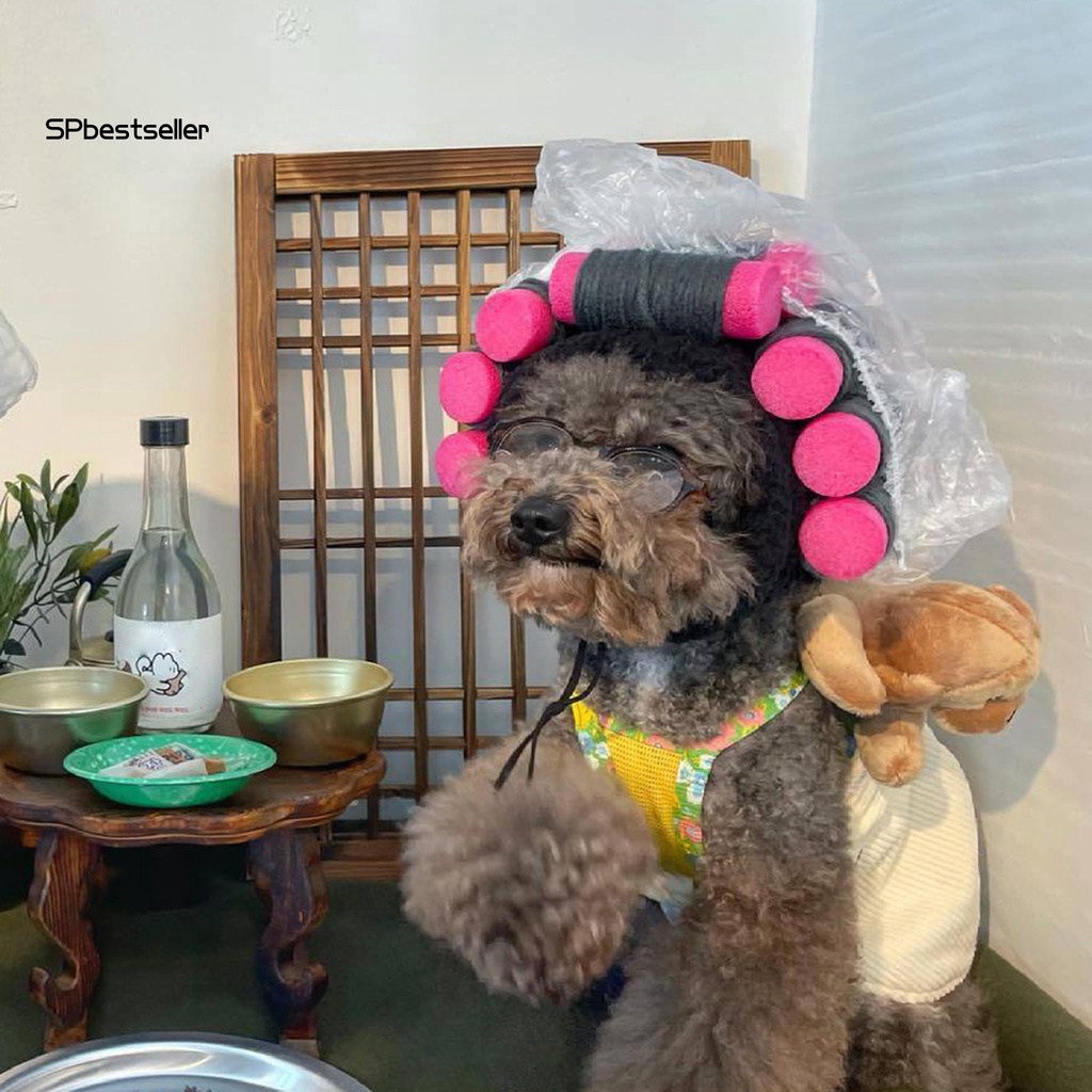 Bộ Mũ Và Tóc Giả Xoăn Hóa Trang Vui Nhộn Cho Thú Cưng