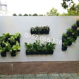 Combo 24 chậu treo tường đứng- HỎA TỐC
