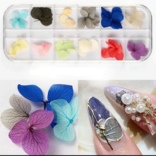 Hoa khô nail trang trí móng cánh nhỏ 12 màu