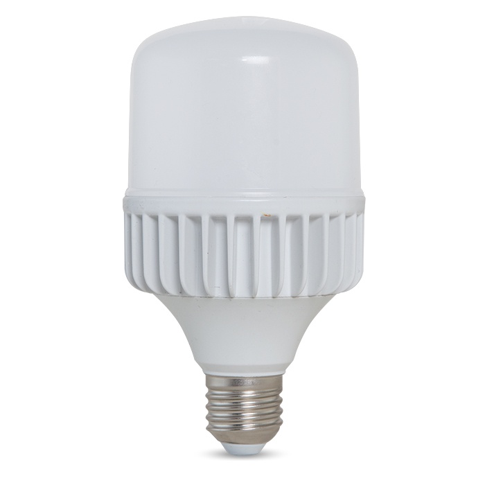 Bóng đèn LED TRỤ  20W RẠNG ĐÔNG Siêu Sáng TR80N1/20W