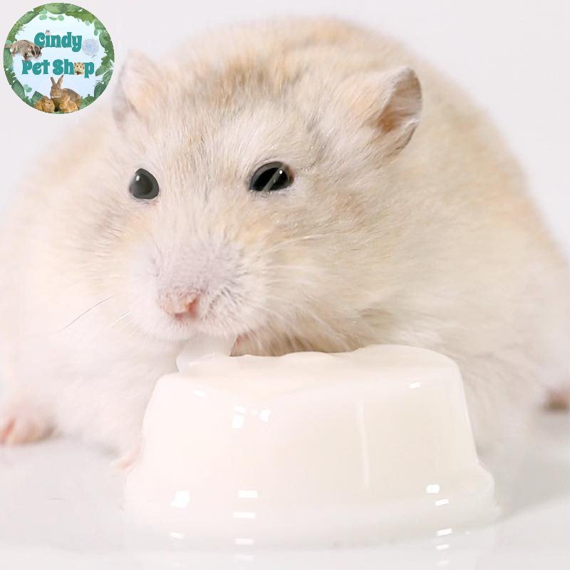 Pudding sữa dê Jonsanty cho Hamster