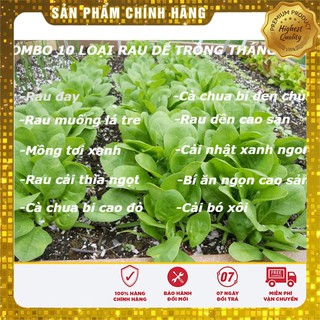 COMBO 10 loại rau dễ trồng tháng 3-4-5 LUCKY SEEDS