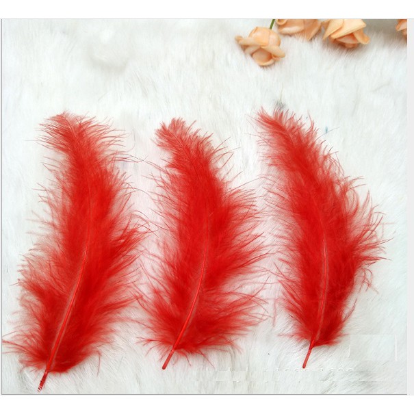 10 lông vũ xù mịn 12-18cm