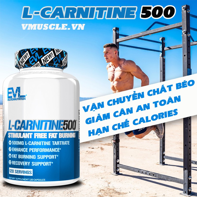 EVL L carnitine hỗ trợ giảm cân, giảm mỡ an toàn và giúp săn chắc cơ (120 Lần dùng)