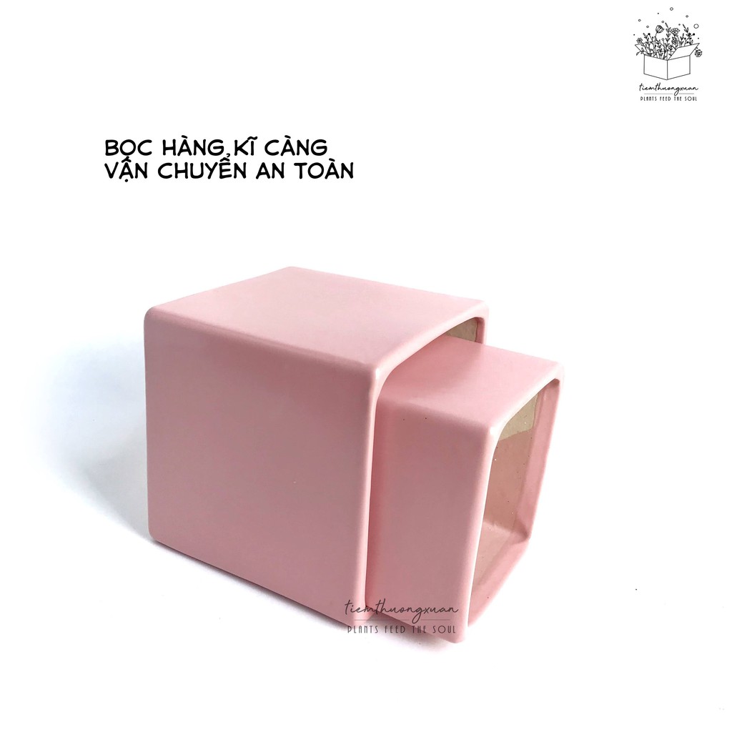 Chậu trồng cây vuông 10x10 cm Sen đá, Xương rồng, Cây cảnh mini trang trí nhà cửa  - Tiệm Thường Xuân