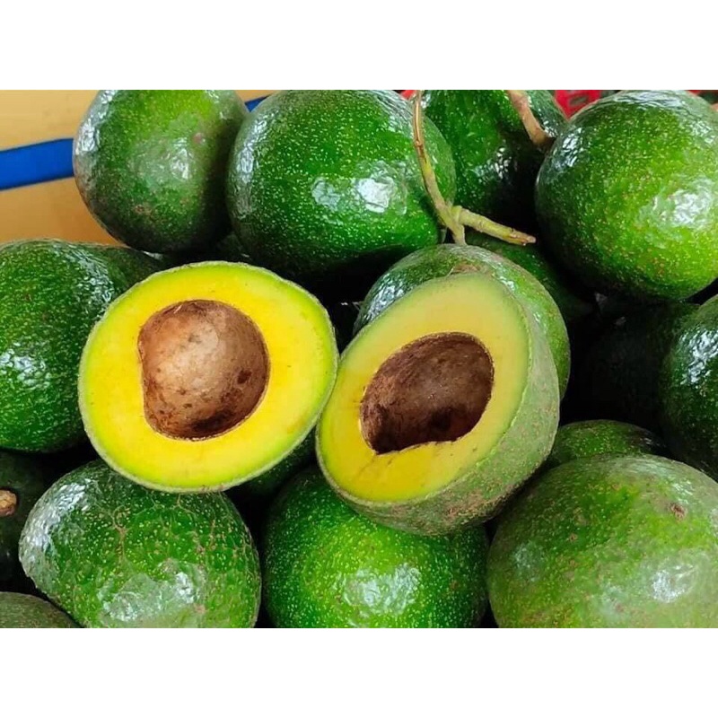 Bơ Booth Đắk Lắk- Bơ Vàng Béo Dẻo Siêu Ngon - Giao Tận Nơi