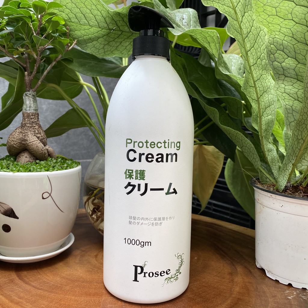 Kem ủ dưỡng phục hồi tóc hư tổn Prosee Protecting Cream AE07 1000ml