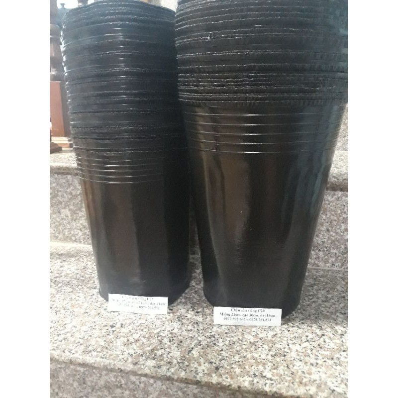 Chậu sầu riêng  , .