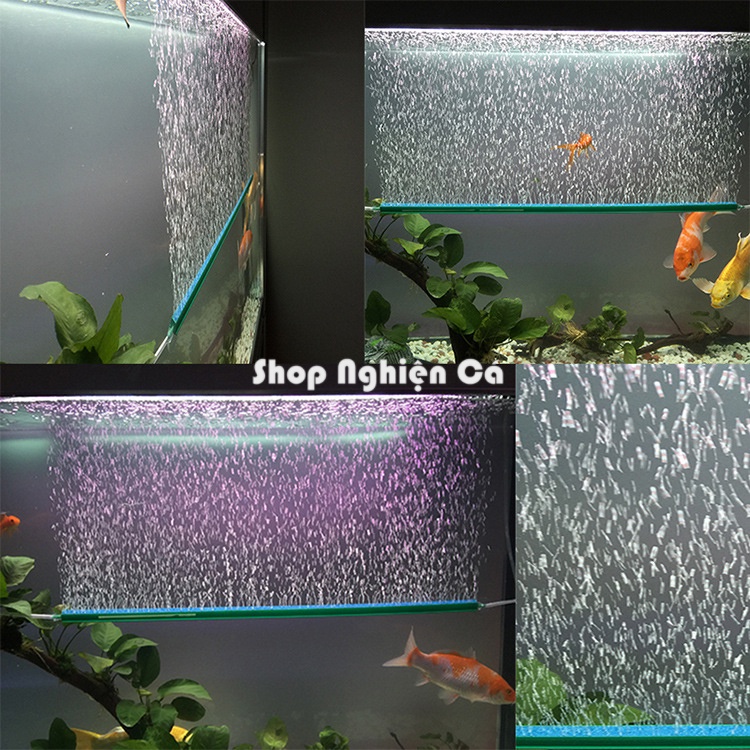 Thanh sủi Oxy Sôi Xanh cho hồ cá cảnh size 20 - 40 cm