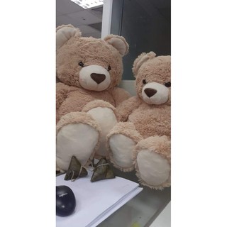 Gấu Teddy OSSSO - Hàng nhập Thái Lan