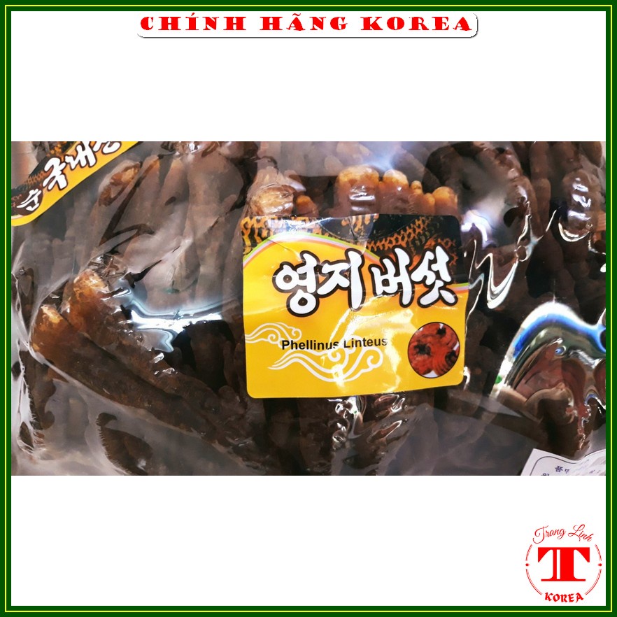 Nấm linh chi sừng hươu hàn quốc, hộp 0,5kg - Thải độc, thanh lọc cơ thể, phòng ung thư - tranglinh