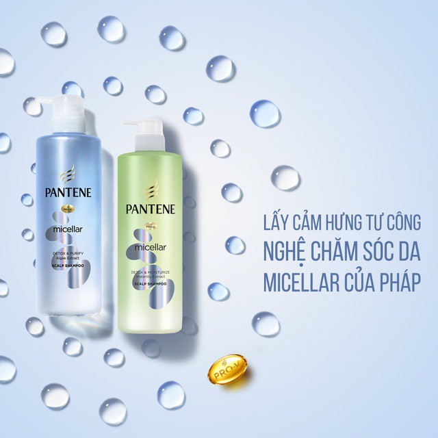 Combo Dầu Gội và Dầu Xả PANTENE MICELLAR chai 530ml Tảo Biển / Hoa Súng / Hoa Hồng