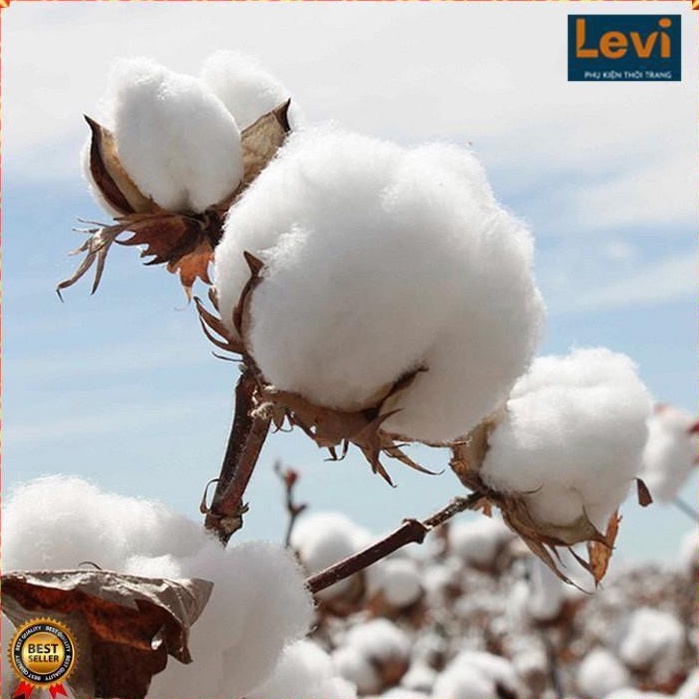 Tất Lửng Nam Nữ [Hộp 5 Đôi Tất Thuyền] Vớ Ngắn Cổ Cotton Cao Cấp Thoáng Khí Mềm Nhẹ Giữ Form Không Phai Không Xù